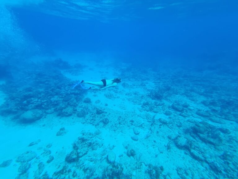 A woman snorkeling underwater over a rocky seafloor in clear blue waters off Roatan, Honduras.