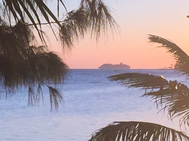 A cargo ship sails across the ocean near Roatan, Honduras, during a colorful sunset framed by palm trees in the foreground.