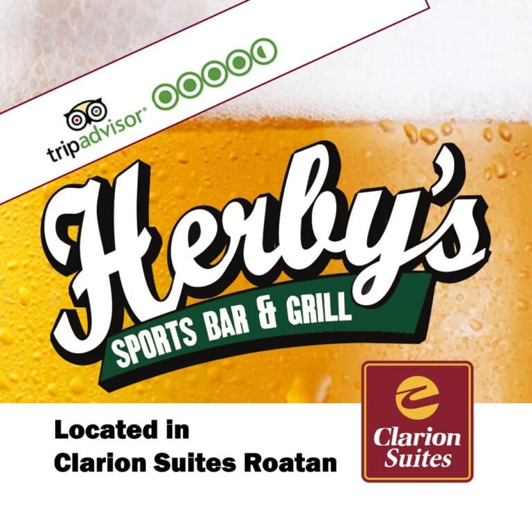 A promotional graphic for Herby's Sports Bar & Grill in Roatan, Honduras, featuring a close-up of a beer glass with foam and bubbles, along with a tripadvisor rating at the top and the Clarion Suites logo at the bottom right.