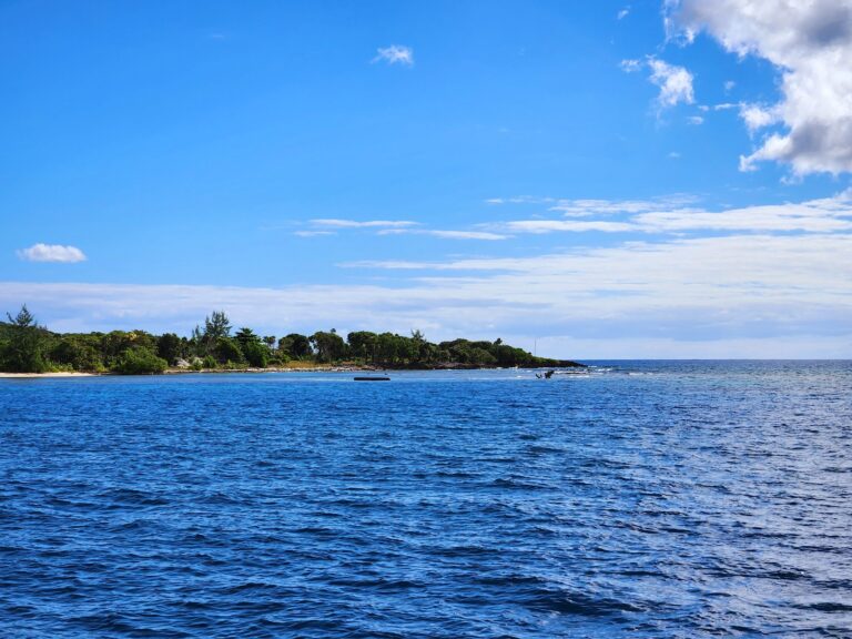 A panoramic view of the clear blue Caribbean Sea with gentle waves, a lush green shoreline, and a partly cloudy sky over Roatan, Bay Islands, Honduras.