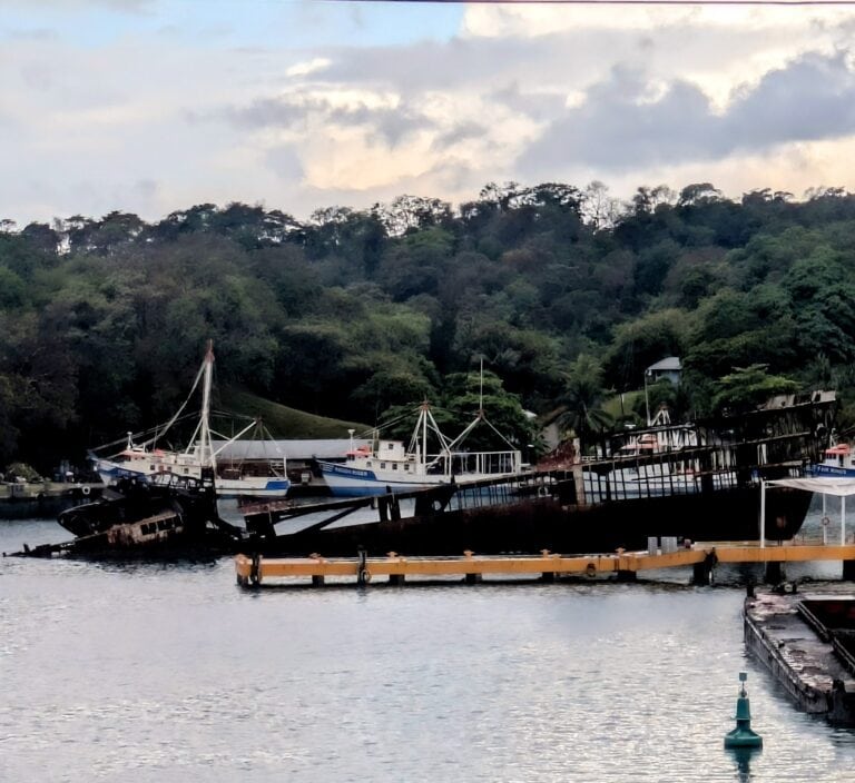 Boats docked at a marina along the water with lush green hills and cloudy sky in the background on Roatan, Honduras.