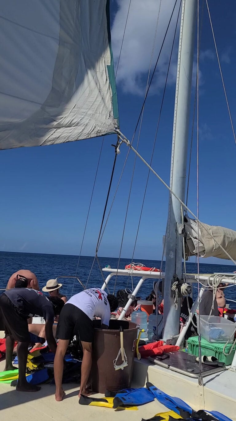 A group of people preparing diving or snorkeling equipment on a boat amidst the open ocean under a clear blue sky in Roatan, Honduras.