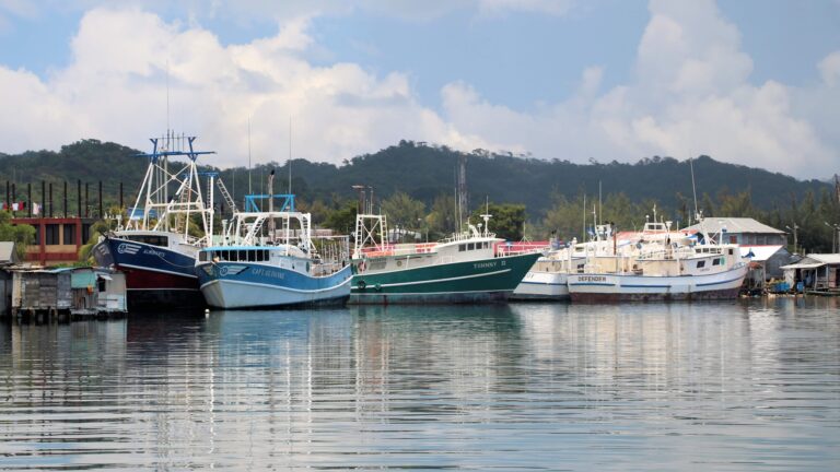 Boats docked along the shoreline in a small harbor with lush green hills in the background on Roatan, Honduras.