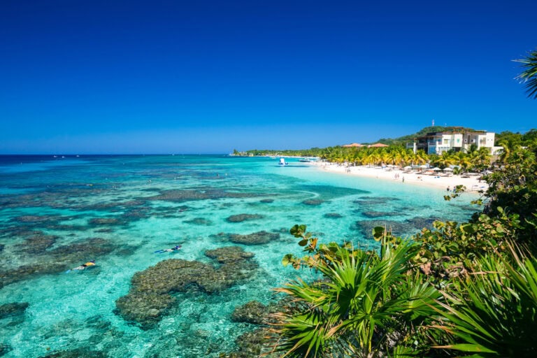 A clear view of a tropical beach along Roatan, Honduras, showcasing turquoise waters with coral formations, a white sandy shoreline lined with palm trees, and beachside buildings in the background under a bright blue sky.