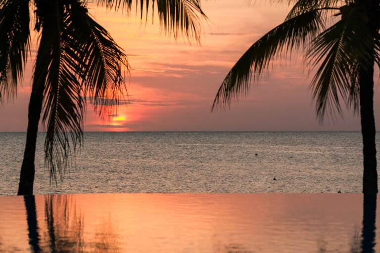 A sunset over the ocean in Roatan, Honduras, is framed by two silhouetted palm trees with colorful sky reflections on the water.
