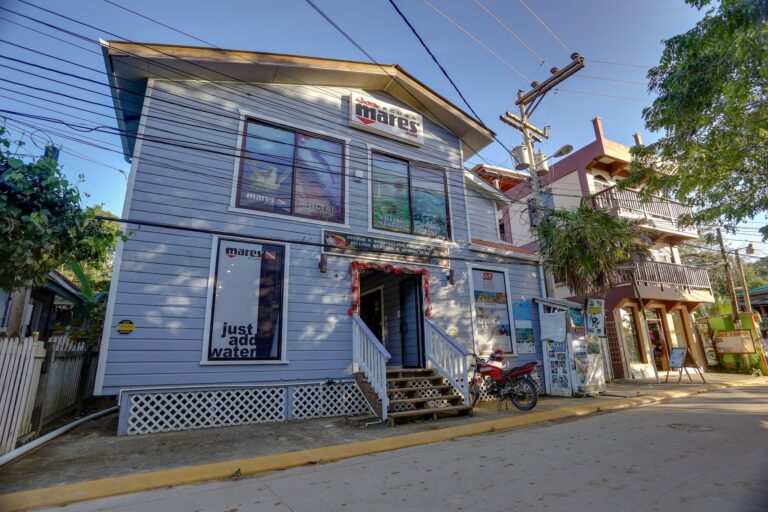 A white two-story building housing a scuba diving and snorkeling shop called Diver's Mares in Roatan, Honduras, with large windows, a sign on the upper facade, and surrounded by electrical wires, trees, and neighboring buildings along a street.