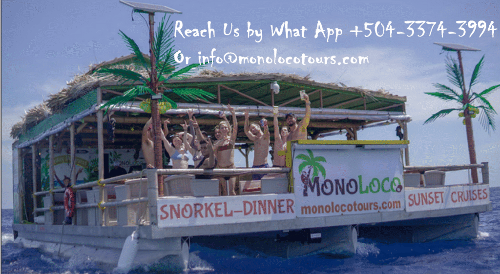 A group of people enjoying a sunset cruise on a boat with tropical palm tree decorations and signage for snorkeling, dinner, and sunset cruises in Roatan, Honduras.
