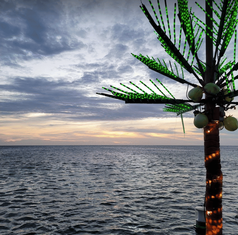 A palm tree decorated with green LED lights and coconuts stands near the ocean horizon during sunset in Roatan, Honduras.