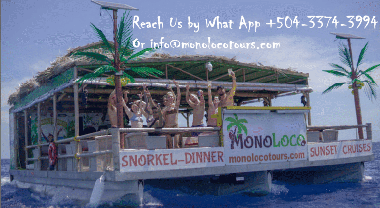 A group of people enjoying a sunset cruise on a boat with tropical palm tree decorations and signage for snorkeling, dinner, and sunset cruises in Roatan, Honduras.