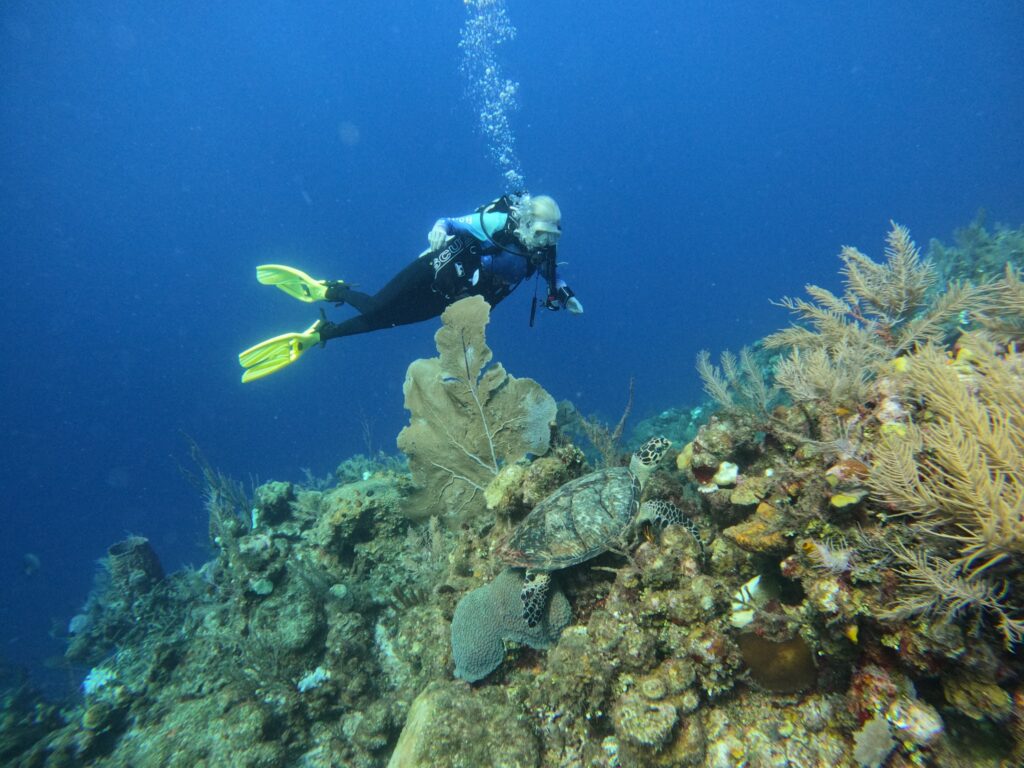A scuba diver with yellow fins explores a vibrant coral reef near Roatan, Honduras, surrounded by colorful corals, reef fish, and marine life.