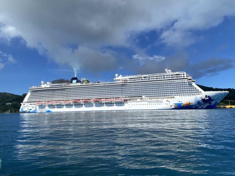 A large white cruise ship with colorful artwork depicting marine life is docked in the waters near Roatan, Honduras, under a partly cloudy sky.