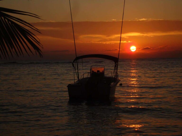 A boat floats on the calm waters of Roatan, Honduras, during a vibrant sunset with orange and pink hues, and a palm frond partially visible on the left side of the image.