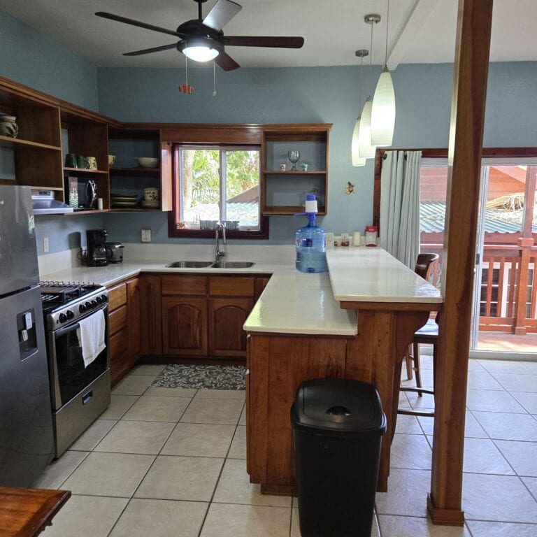 Kitchen with wooden cabinets, a stainless steel stove, and a window showing green tropical foliage in Roatan Honduras.