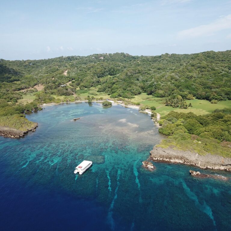 A large white boat with a red logo floats on clear turquoise waters near a rocky shoreline on Roatan in the Bay Islands, Honduras, with the vibrant blue of the Caribbean Sea and a lush green island landscape in the background.