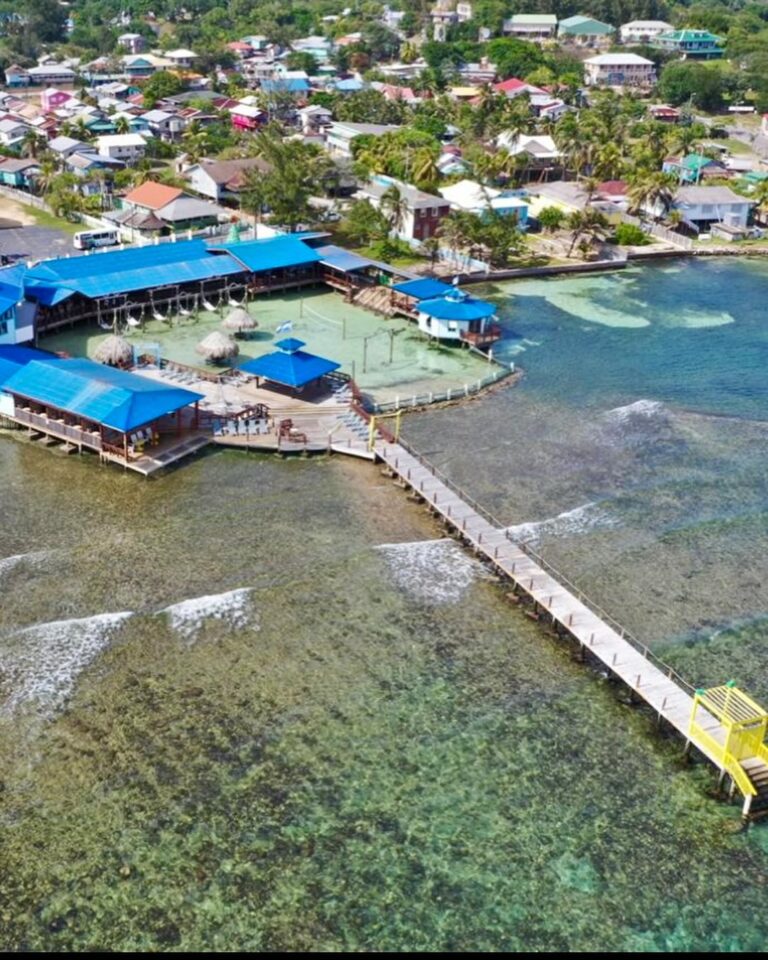 Aerial view of a waterfront restaurant and dock on Roatan in the Bay Islands of Honduras, featuring blue rooftops, thatched umbrellas, and clear shallow waters with visible coral reefs.