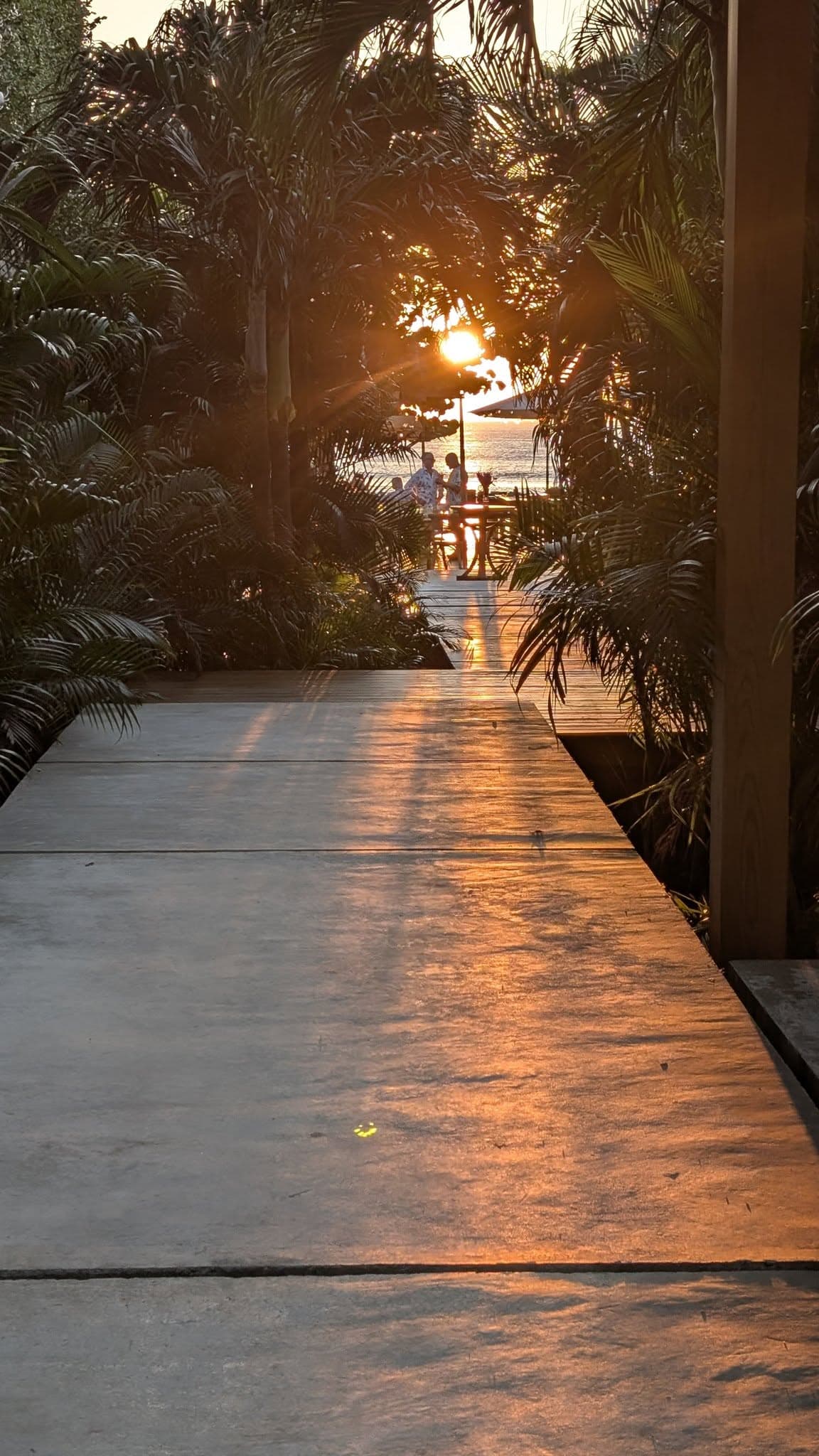 Sunset over the beach with palm trees and ocean in Roatan, Honduras.