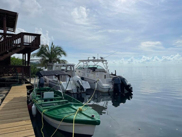 Marina in Roatan, Honduras with white motorboats and a small green boat docked along a wooden pier, tropical palm trees, and a cloudy sky over calm ocean waters in the background.