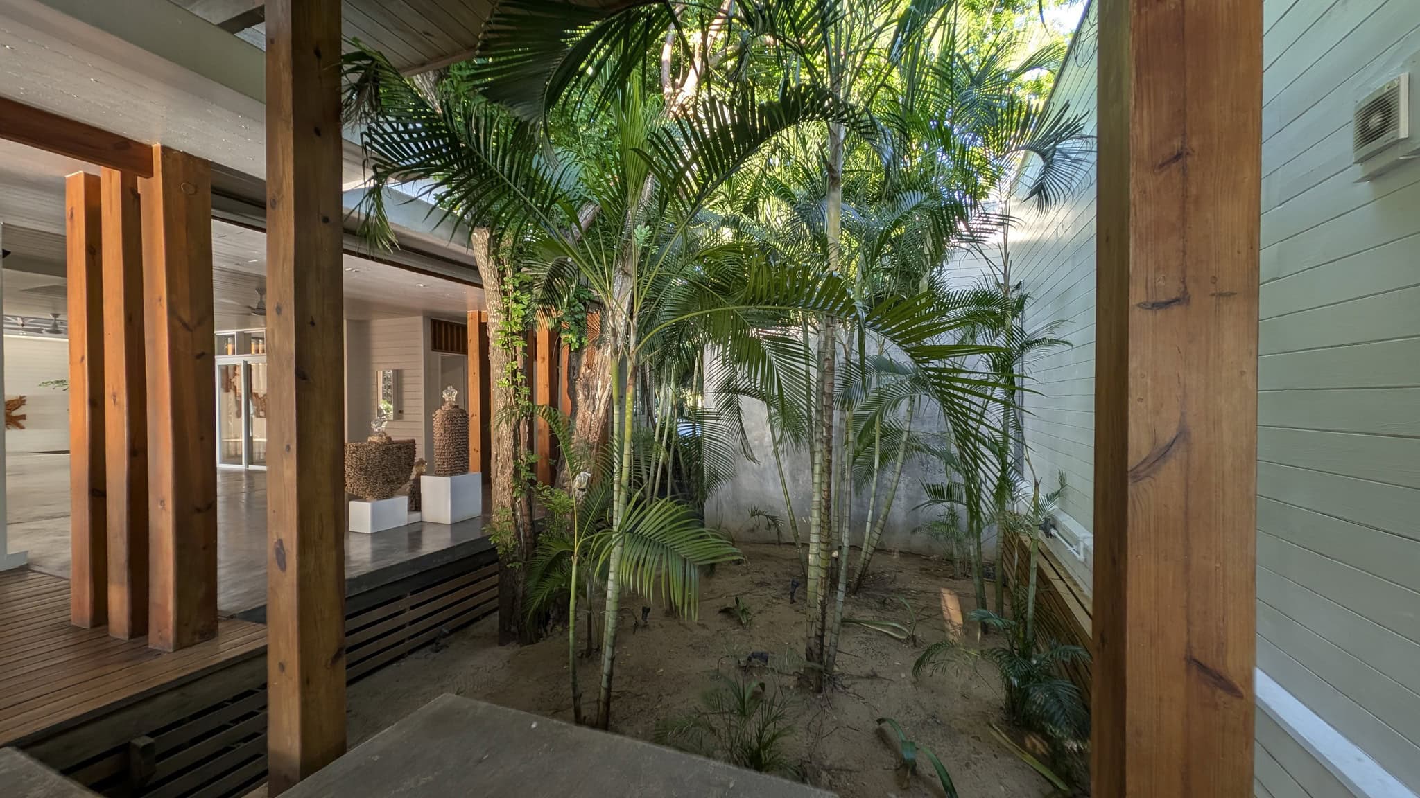 Indoor tropical garden with vibrant green plants and wooden beams in a cozy space.