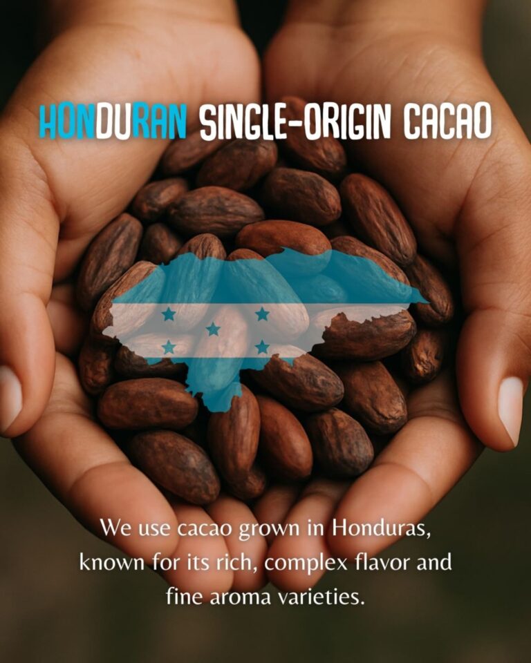 Hands holding roasted cacao beans with a blue outline of Honduras overlaid, highlighting Honduras' origin of the cacao used in local products