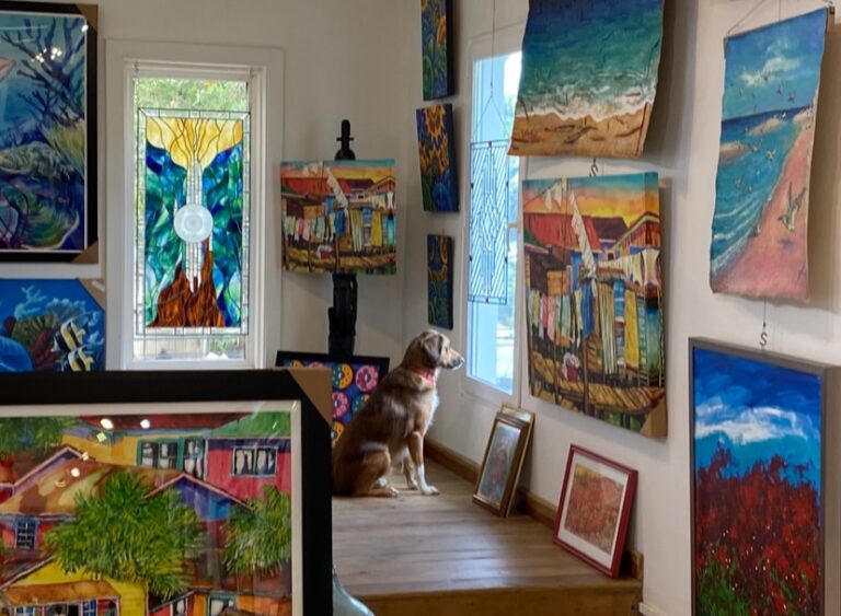 Interior view of an art gallery on Roatan, Honduras, displaying vibrant paintings of beaches, sea life, and colorful local scenes with a brown and white dog sitting near the window.