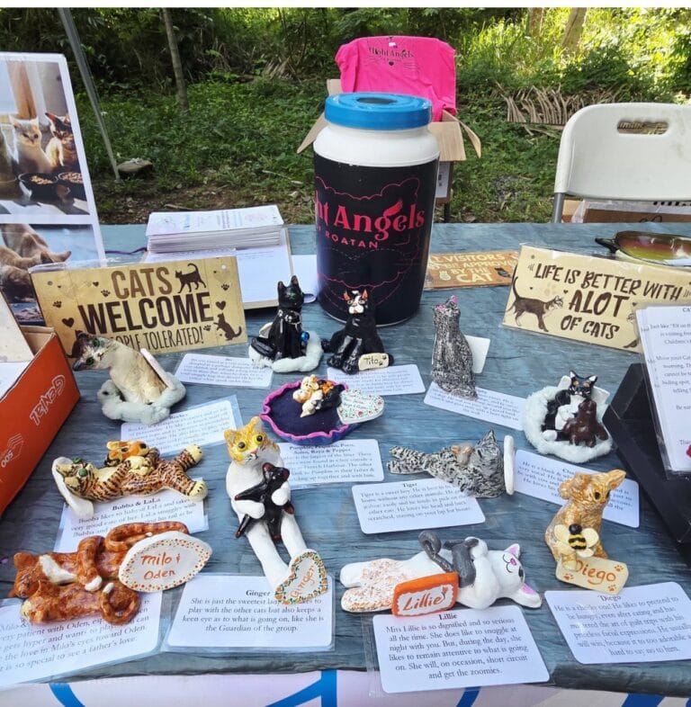 Display of various handcrafted cat figurines and informational cards on a table at a Roatan, Honduras event supporting local cats and animal awareness.