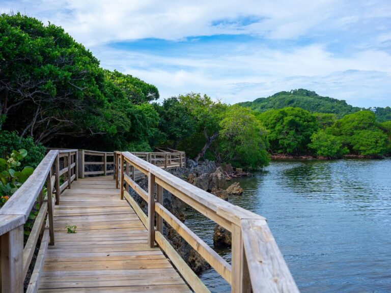 A wooden walkway winding along lush green trees over a calm body of water on Roatan, Honduras, with distant hills and a partly cloudy sky in the background.