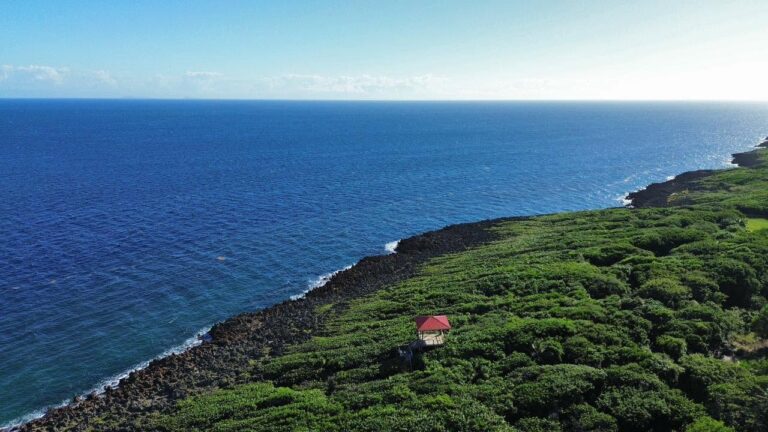 Aerial view of lush green coastal vegetation with a small red-roofed structure overlooking the deep blue Caribbean Sea from Roatan, Honduras.