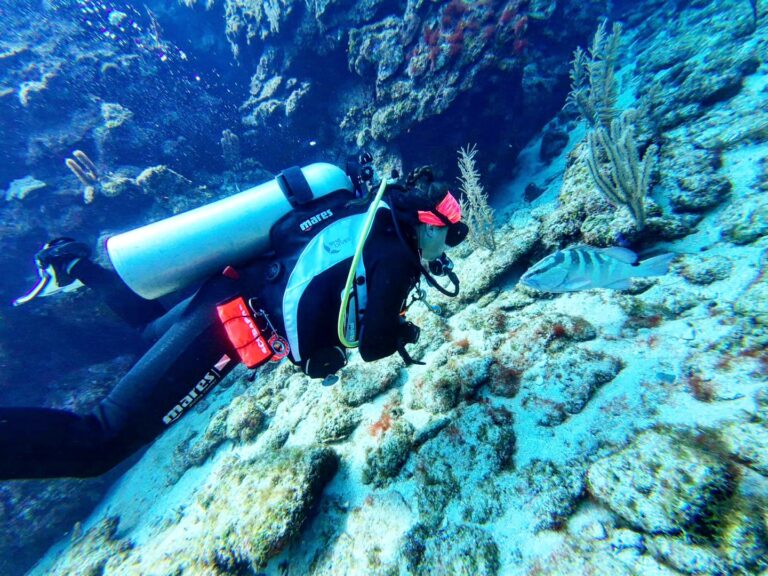 A scuba diver exploring vibrant coral reefs and tropical fish near Roatan, Bay Islands, Honduras.