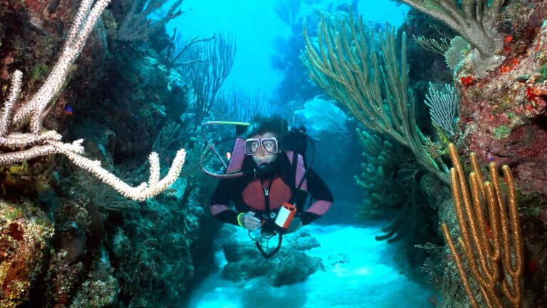 A scuba diver with a pink and black wetsuit and large goggles explores a vibrant coral reef in Roatan, Honduras, surrounded by various colorful sea corals and marine life.