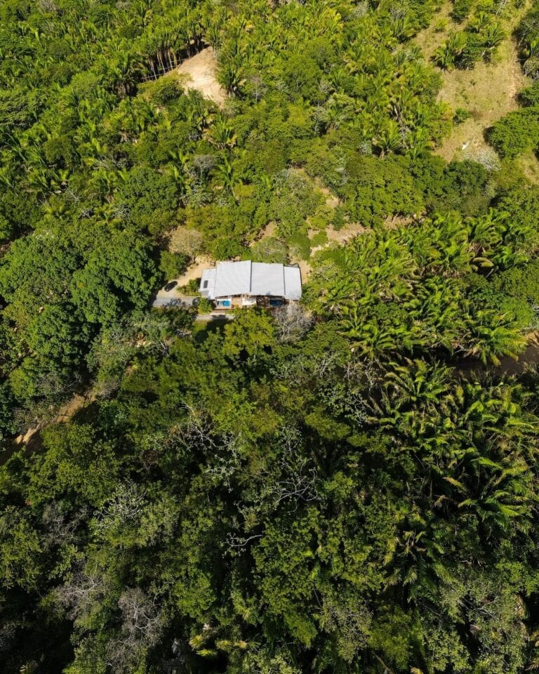 Aerial view of the Easter Egg Hunt event surrounded by lush greenery at Roatan Island Brewing.