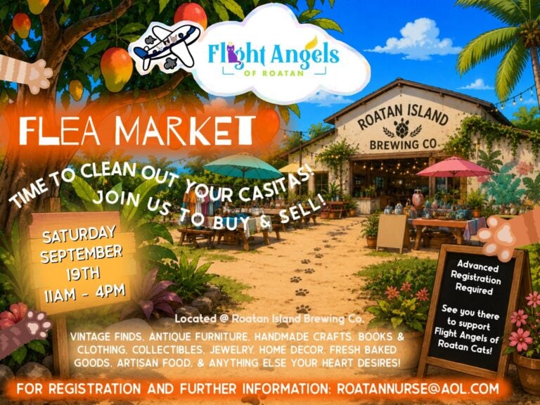 Roatan Island Brewing Co. hosts a vibrant flea market under tropical trees with hanging mangoes and colorful umbrellas, situated in Roatan, Honduras.