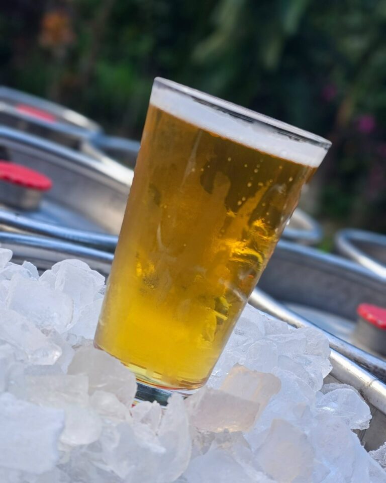 A tall glass of golden, bubbly beer sitting on a bed of crushed ice with blurred greenery and parked vehicles in the background in Roatan, Honduras.
