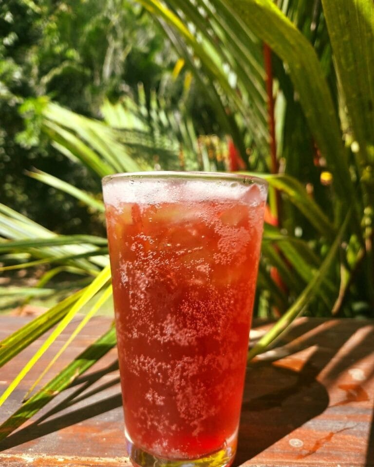 A tall glass filled with a red, fizzy tropical drink on a wooden table, with lush green palm leaves in the background in Roatan, Honduras.