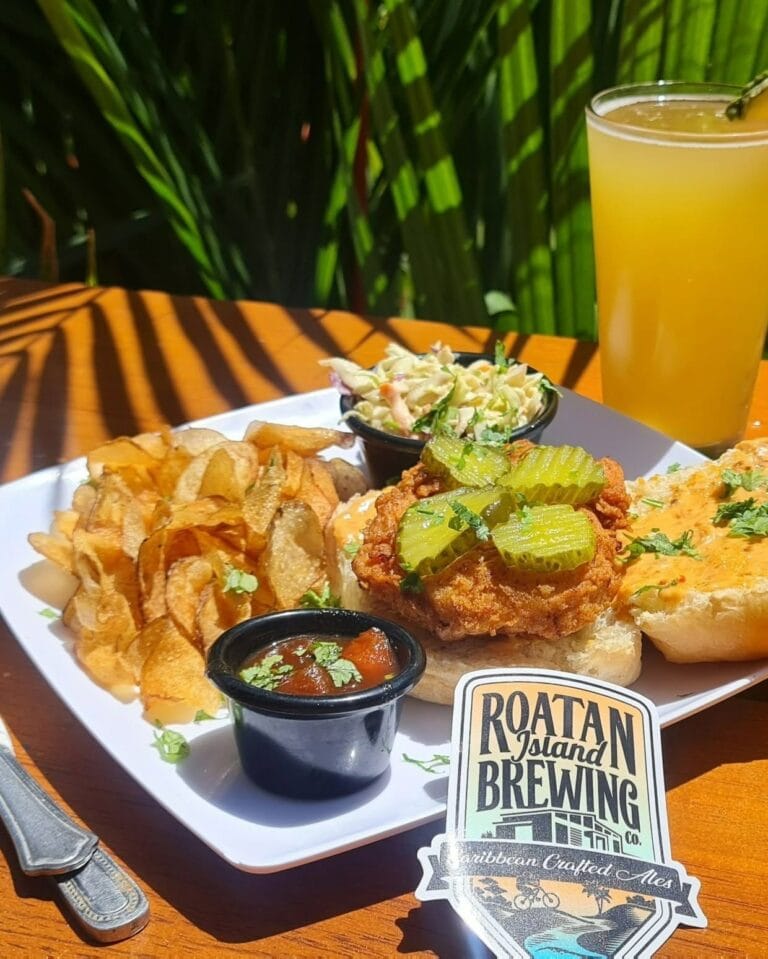 A plate of Caribbean-style food with cole slaw, potato chips, fried chicken topped with pickles, and a small serving of salsa on a wooden table set outdoors with lush green tropical plants in Roatan, Honduras.