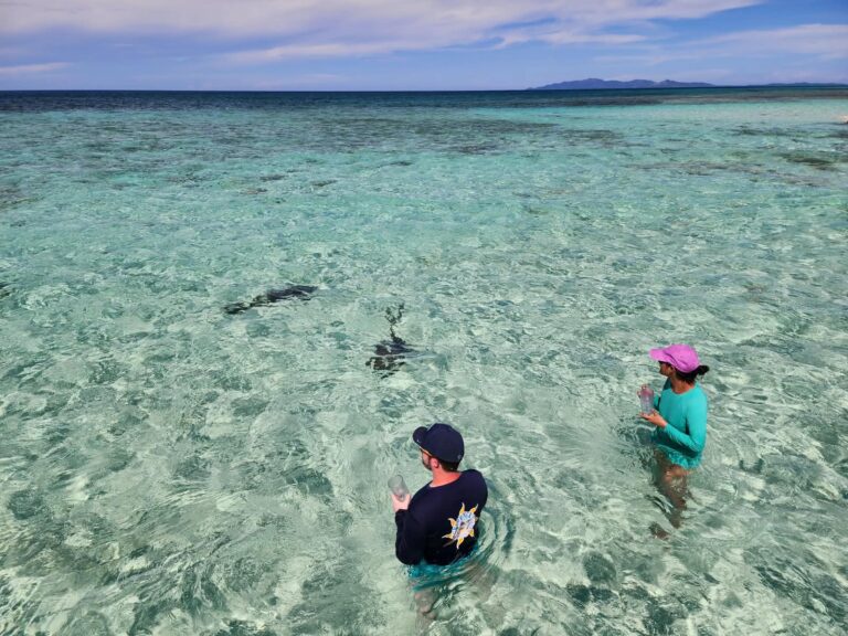 Two people wade through clear turquoise Caribbean water near Roatan, Honduras.