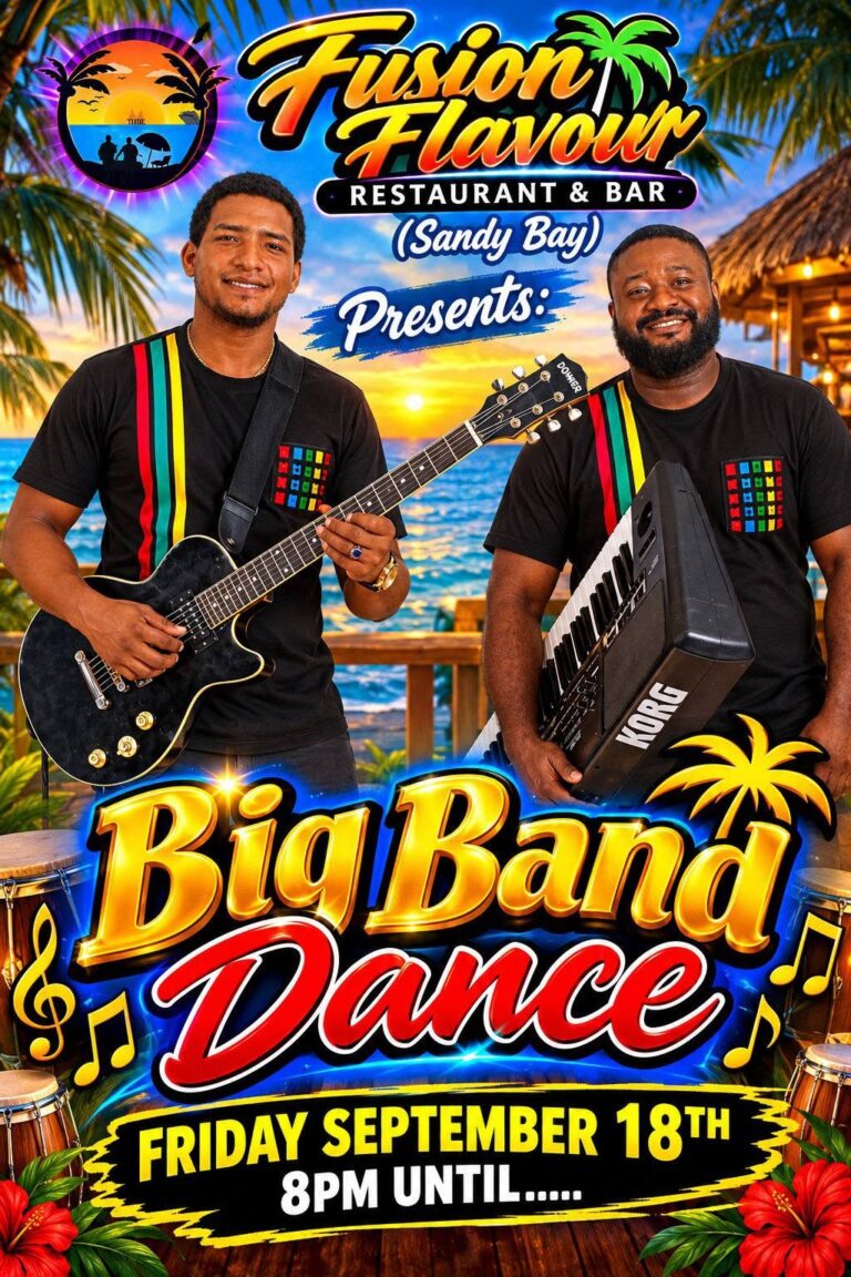 Two musicians performing at an open-air event on a tropical beach in Roatan, Honduras, with palm trees and a vibrant sunset in the background.