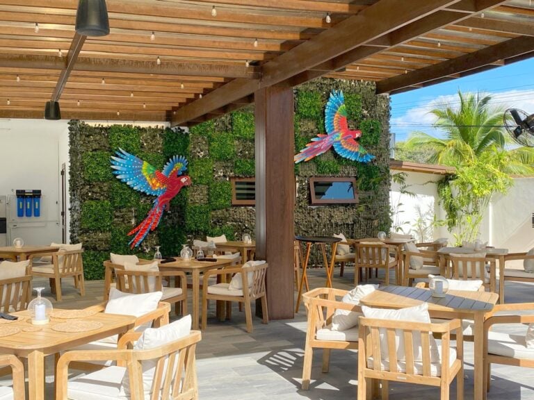 Outdoor dining area in Roatan, Honduras featuring wooden tables and chairs with white cushions, decorated with hanging string lights and surrounded by tropical plants and a rock wall adorned with colorful parrots artwork.