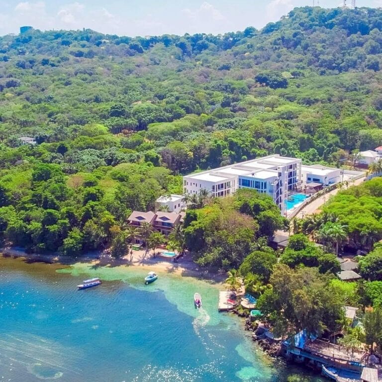 Aerial view of a luxurious white hotel with swimming pools nestled among lush green tropical trees along Roatan's coast in Honduras.