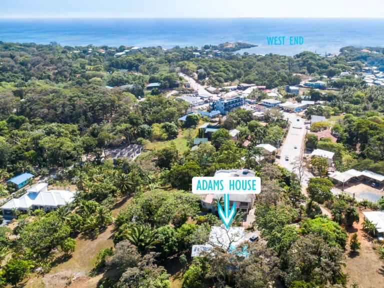 Aerial view of a lush, green neighborhood in Roatan Honduras, with dense tree canopies, residential buildings, and a clear view of the Atlantic Ocean in the background, highlighting the West End area.