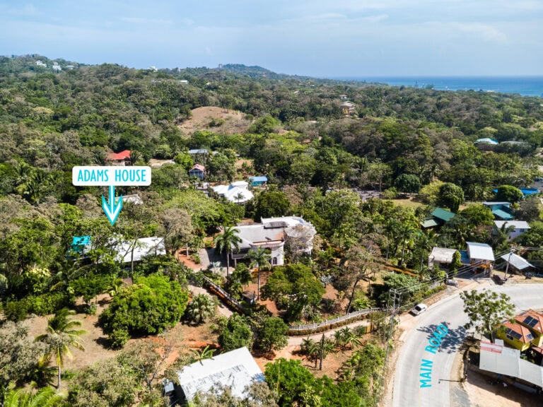 Aerial view of lush green hillside with residential houses on Roatan, Bay Islands, Honduras, overlooking the Caribbean Sea in the distance.