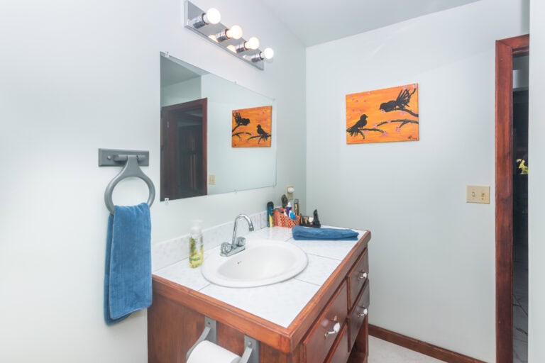 A well-lit bathroom in Roatan, Honduras, featuring a wooden vanity with a marble countertop, a white sink, and a large mirror. The bathroom has a colorful painting of birds on a branch hung on the wall and is equipped with a towel ring holding a blue towel and personal care items on the counter. The setting reflects a clean and cozy space typical of residential or vacation accommodations in Roatan, Bay Islands.