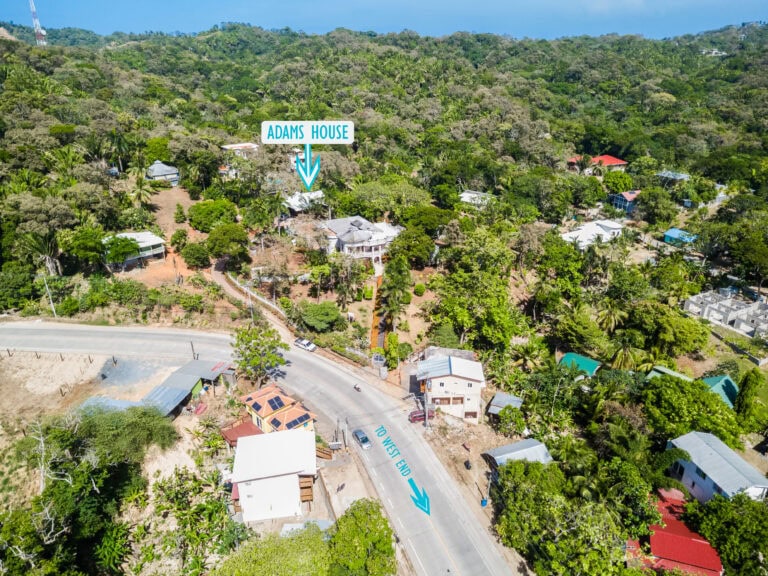 Aerial view of residential homes surrounded by lush green vegetation on Roatan in Honduras, with a sign pointing towards Adams House amidst the dense trees