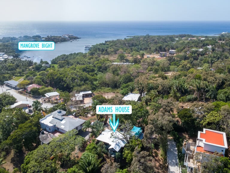 Aerial view of Mangrove Bight on Roatan Island in Honduras, showcasing lush green vegetation, residential buildings, and a calm bay with boats docked in the harbor, near the turquoise Caribbean Sea in the background.