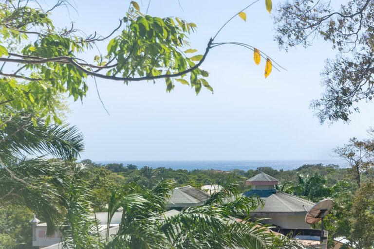 View of lush green trees and rooftops of houses with a distant ocean horizon on Roatan, Honduras, under a clear blue sky.