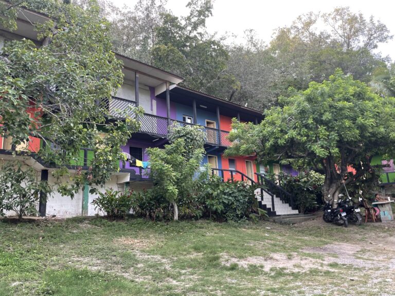 Colorful residential buildings with balconies and stairs are partially obscured by lush green trees on a hillside in Roatan, Honduras.