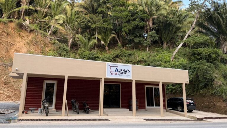 Alpha's Market, a small grocery store with a beige and red exterior, is situated at the base of a lush, green hillside filled with tall palm trees in Roatan, Honduras.