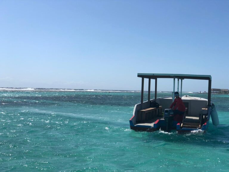 A person operated a small boat with an open canopy on the clear turquoise waters near Roatan, Honduras, with a distant shoreline and overwater structures visible in the background.