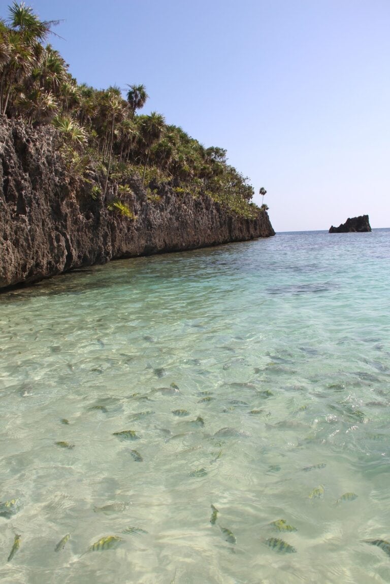 A rocky coastline covered with lush green palm trees on Roatan in Honduras, with clear shallow water and a small rock formation in the ocean under a bright blue sky.