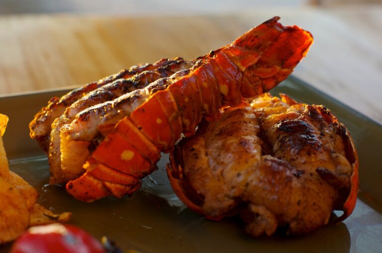 Grilled lobster tails served on a plate with a blurred background, showcasing fresh seafood cuisine in Roatan, Honduras.
