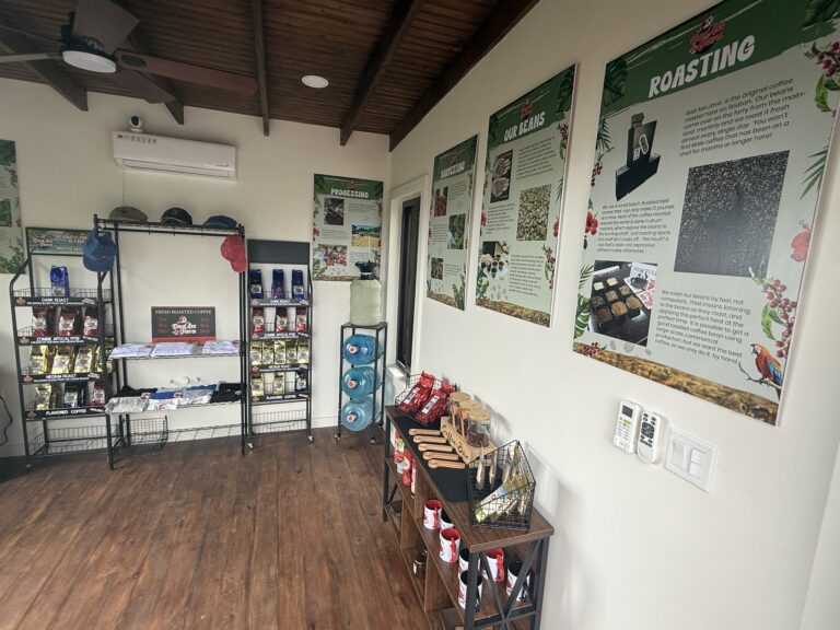 A display area with coffee products and informational posters about coffee processing and roasting at a business in Roatan, Honduras.